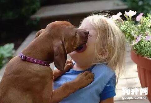 ������������ô��