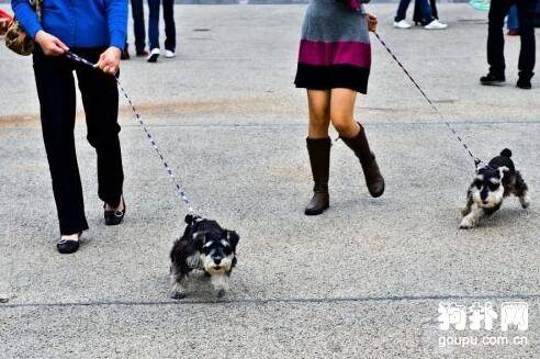 ѧ����ǣ�������ƹ�����