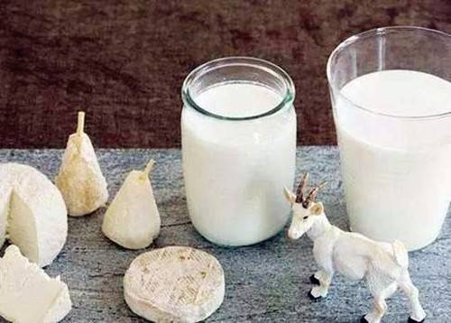 小狗一般都喝哪个品牌的奶粉,狗狗奶粉哪家品牌好 小狗一般都喝哪个品牌的奶粉,狗狗奶粉哪家品牌好