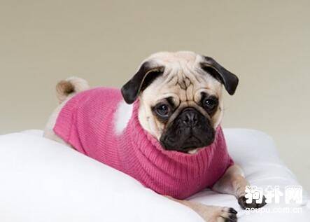 DIY�ü����������·���ע������