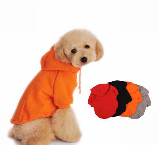 ��ѡ�����·��ļ�������