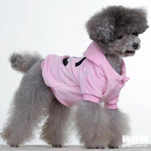 狗狗衣服制作过程中裁剪时有哪些注意事项?