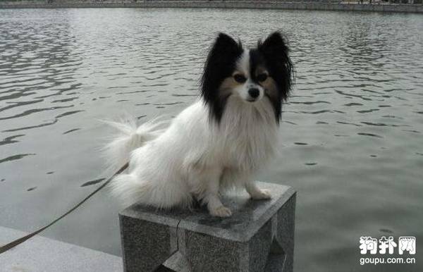 ʲô����ë�٣�10����������ѡ��!