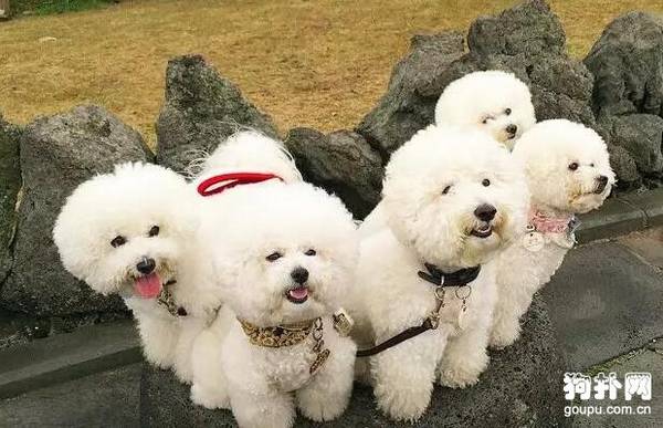 ʲô����ë�٣�10����������ѡ��!