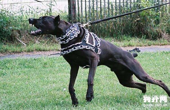 ����Ȯ���ֺã�3���ص�̻�����ѡ��