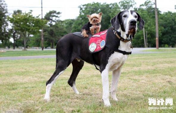 ����Ȯ����Щ���ࣿ8��Ʒ�ָ����㣡