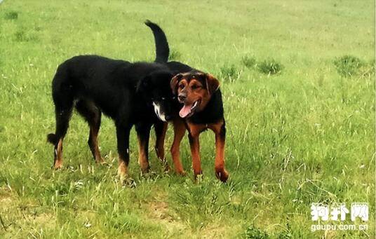 ��α������Ȯ��6��Ʒ��ڹ��һ�У�