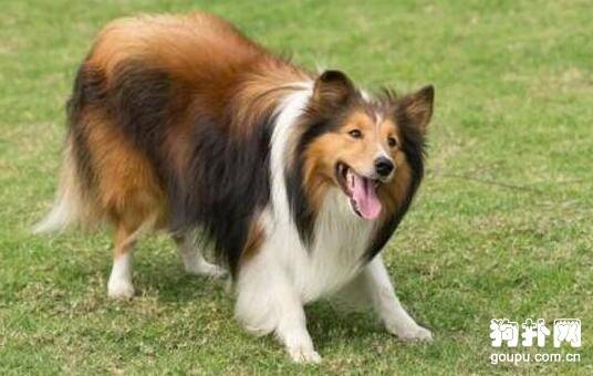 ��α������Ȯ��6��Ʒ��ڹ��һ�У�