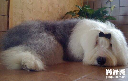 ��α������Ȯ��6��Ʒ��ڹ��һ�У�