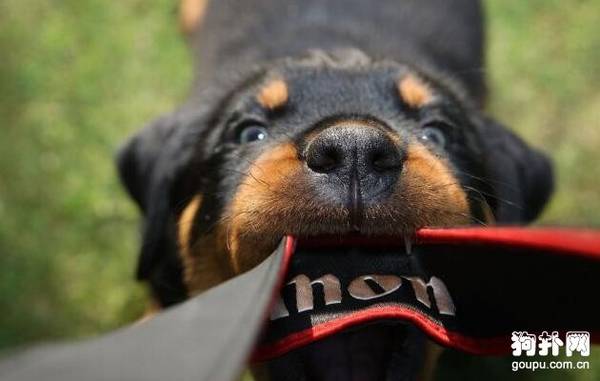 ����Ȯ����Щ��10�����������㣡