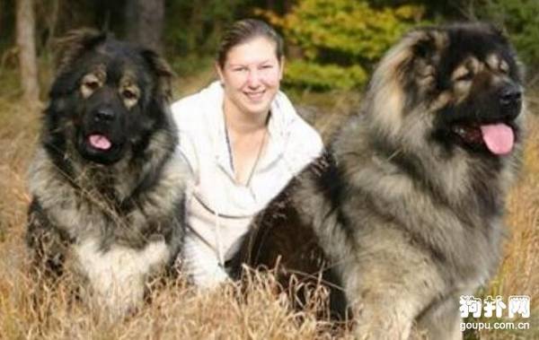 ����Ȯ����Щ��10�����������㣡