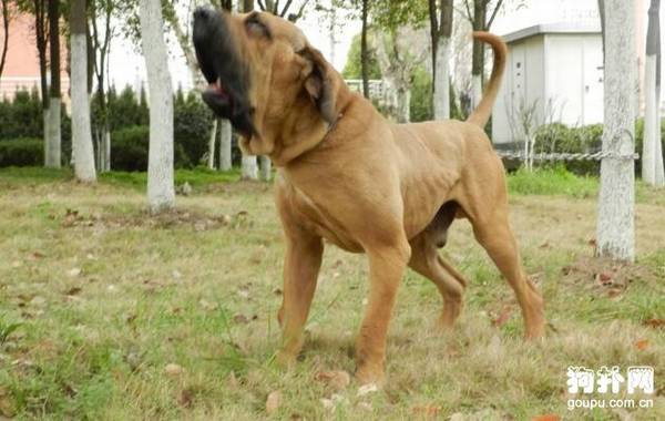 ����Ȯ����Щ��10�����������㣡