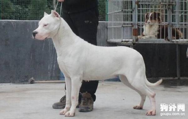 ����Ȯ����Щ��10�����������㣡