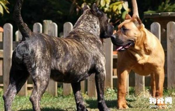 ����Ȯ����Щ��10�����������㣡