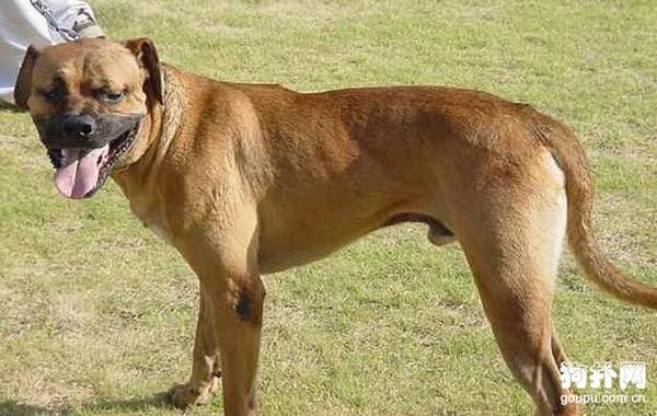 ����Ȯ����Щ��10�����������㣡