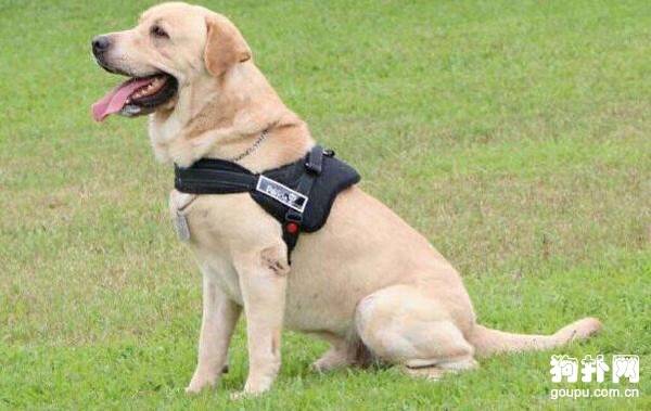 ����Ȯ������ЩƷ�֣�6��Ʒ��Ҫ�˽�