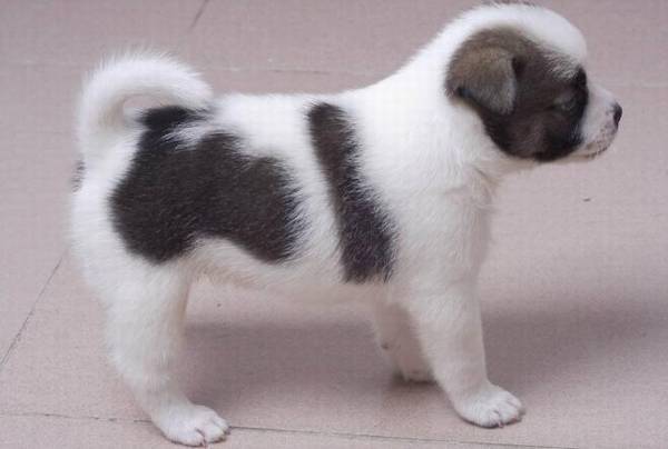 ����������Ǯһֻ����ô��