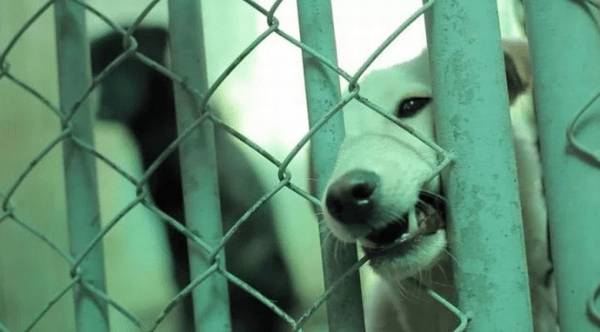 ������Ƿ�С�������Ҿ�����������ǰ�;�����һ���