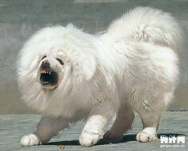 ���غ������Ƿ���ڣ������޼۸��Ƕ���