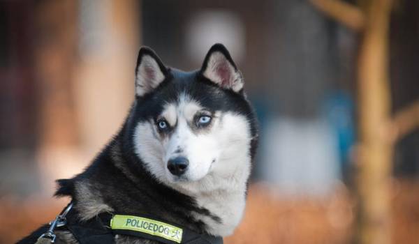 ��Ȯ�;�Ȯ��������ɶ��һ�����������ն�������