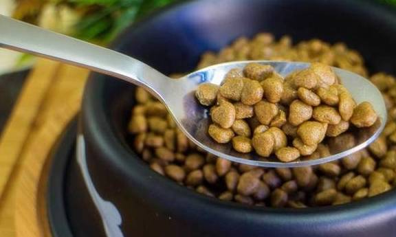 泰迪犬和比熊犬,各自有哪些相同点和区别? 泰迪犬和比熊犬,各自有哪些相同点和区别?