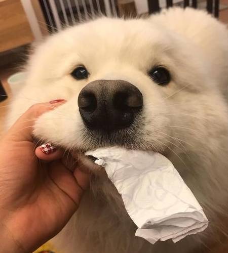 ���������а�8��ǿ�ߡ���˭��˭������