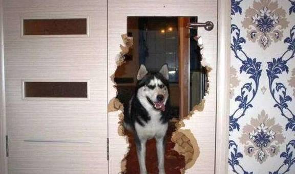 ���������а�8��ǿ�ߡ���˭��˭������