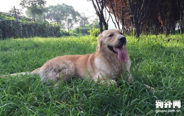 �ʺϼ����Ĵ���Ȯ����Щ�����ʺϼ�����4�ִ���Ȯ����