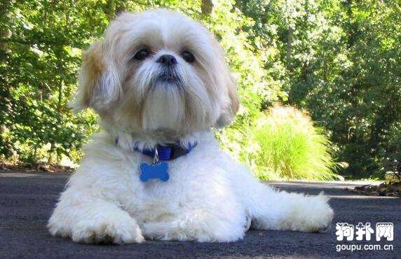 �ʺϼ�����5����С��Ȯ�������ʺ��㣿