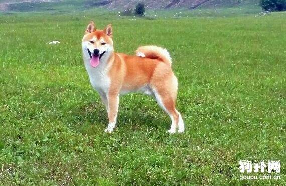 �ʺϼ�����5����С��Ȯ�������ʺ��㣿