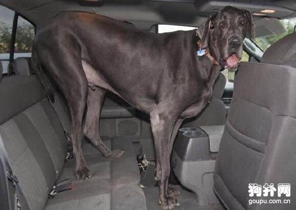 ������Ȯ����ЩƷ�֣��Ͻ�����һ��