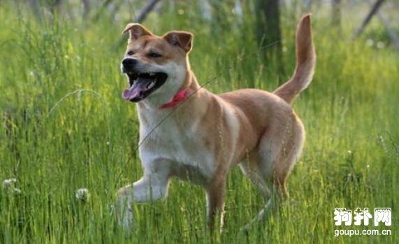 ����Ȯ�����ѡ��ʮ���Ƽ��Ͻ��ղأ�