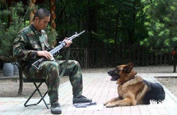 ȫ�����ȮƷ������Щ��3���Ȯ�����ͣ�