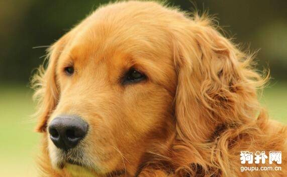 ����Ȯ�����ѡ��ʮ���Ƽ��Ͻ��ղأ�