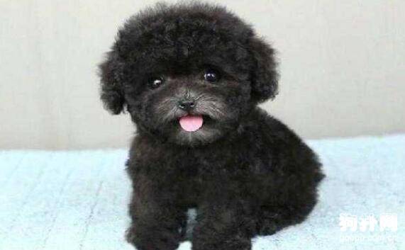 ����Ȯ�����ѡ��ʮ���Ƽ��Ͻ��ղأ�