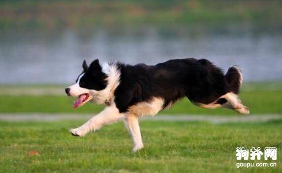 ����Ȯ�����ѡ��ʮ���Ƽ��Ͻ��ղأ�