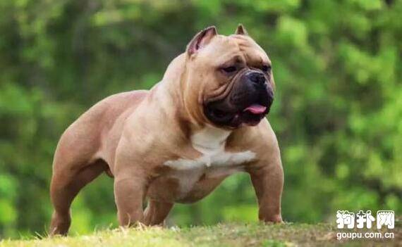 ����Ȯ�����ѡ��ʮ���Ƽ��Ͻ��ղأ�