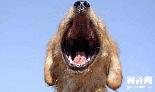 ��Щ�����Ƚϰ����֣�