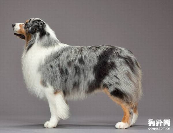 �Ĵ���������Ȯ��ѡ,������ѡ���ְ����ļ���