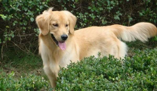 ��äȮ��ʲôƷ�ֵĹ�������Ҫ����3��