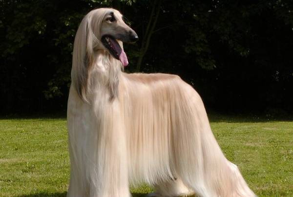 ����Ȯ����Щ������Ȯ����ǰ8