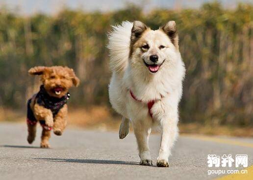 ��ʲô�취��ѡ�����Լ��Ը���ĵĹ���