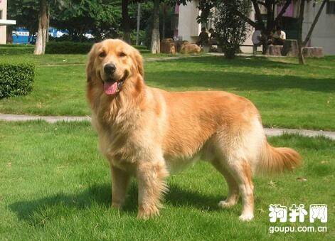 ��ʲô�취��ѡ�����Լ��Ը���ĵĹ���