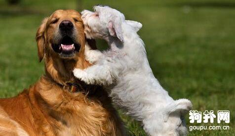 ѡ������Ҫ������Щ���㣬����˼������