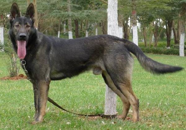 ��Ȯ������ЩƷ�֣�����6���Ȯ����