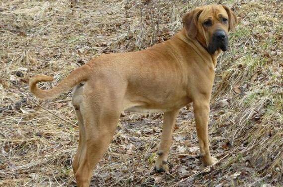 ����Ȯ����ЩƷ�֣�����ʮ����Ȯ���а�