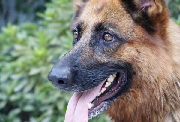 ����Ȯ����ЩƷ�֣�����ʮ����Ȯ���а�