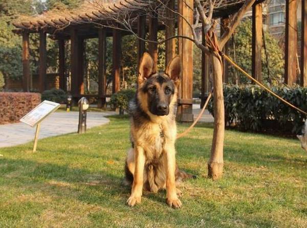 ����ʮ����ȮƷ���������������Ǻݽ�ɫ