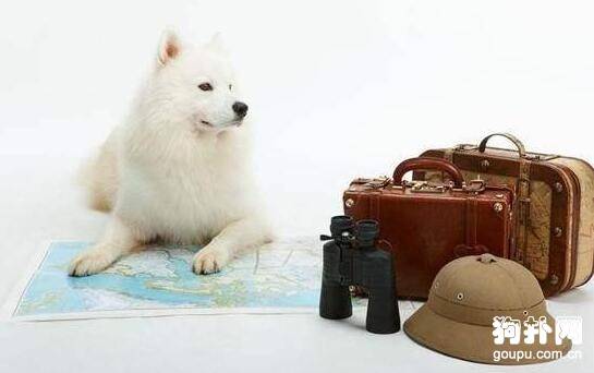 ��ν��г������ˣ�����������Ҫ����Ǯ�أ�