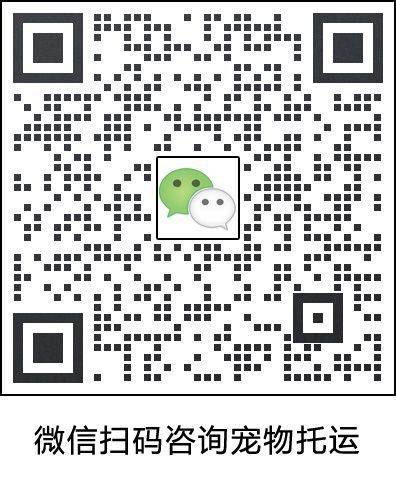 如何进行宠物托运,宠物托运需要多少钱呢? 如何进行宠物托运,宠物托运需要多少钱呢?